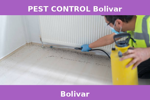 PEST CONTROL Bolivar